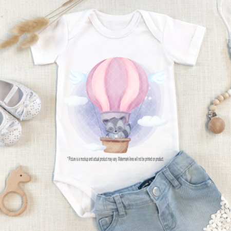 Racoon in Hot Air Balloon