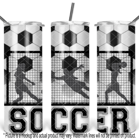 Soccer Ball, Goal and Female Players