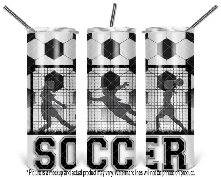 Soccer Ball, Goal and Female Players